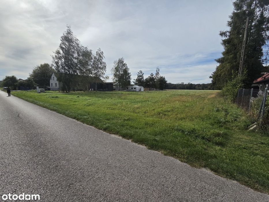 Piękna działka budowlana niedaleko pałacu w Nieborowie, 1158 m² - Widok 4