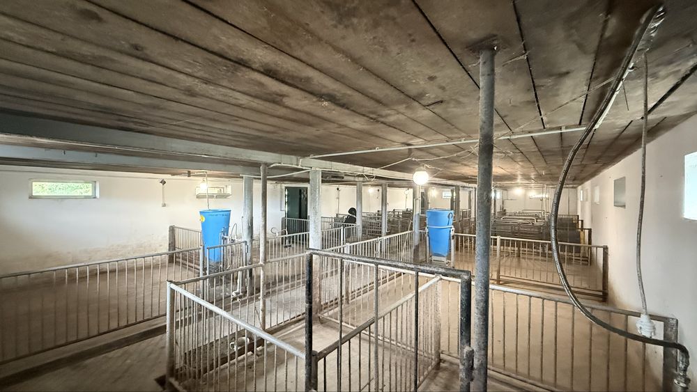 ПРОДАМ хату ,участок,свинарник,дачу, в селі