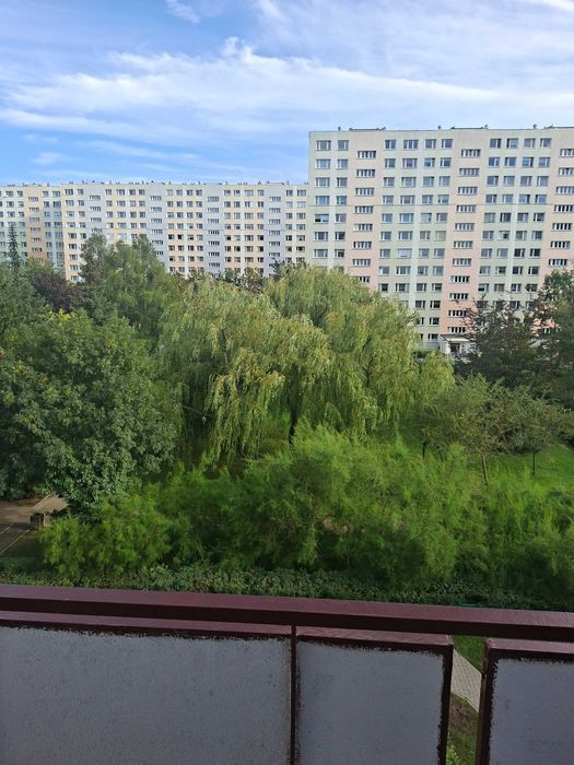 Miesszkanie do wynajęcia