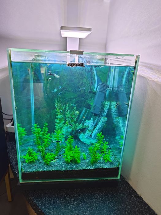 Akwarium 30 l kostka