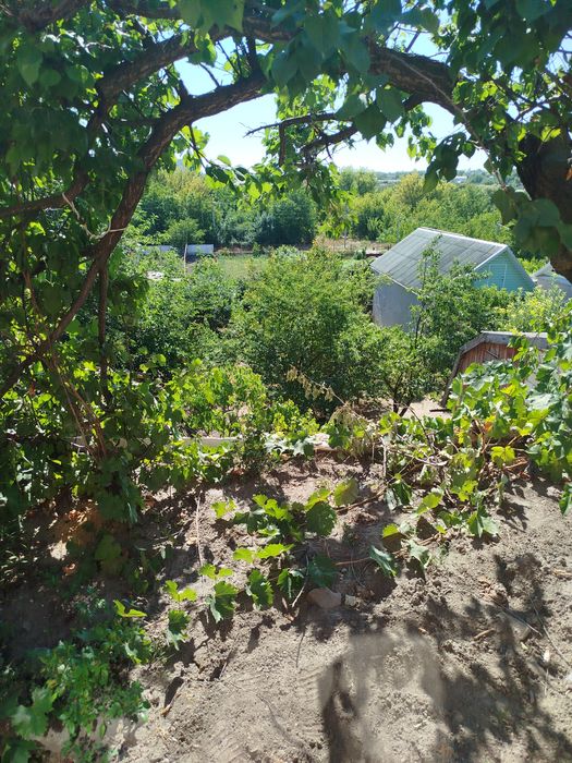 Продам будинок р-н Богопіль