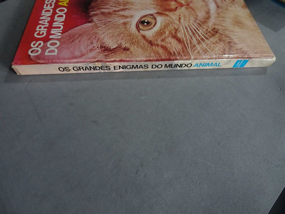Livro - Os grandes enigmas do mundo animal (Animais domésticos 2)