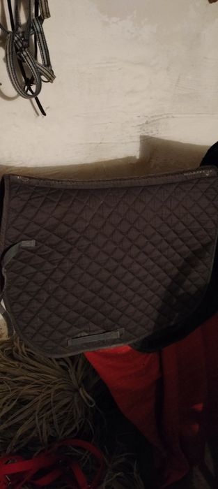 Sprzedam wędzidła czapraki