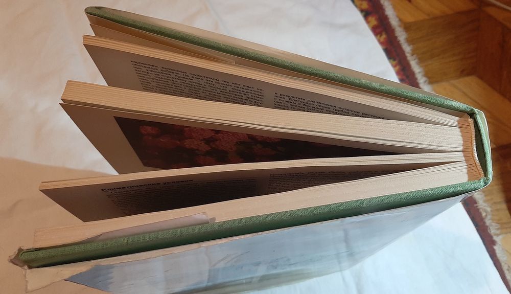 Энциклопедия садовода, Прага, 1989 г, большое подарочное издание