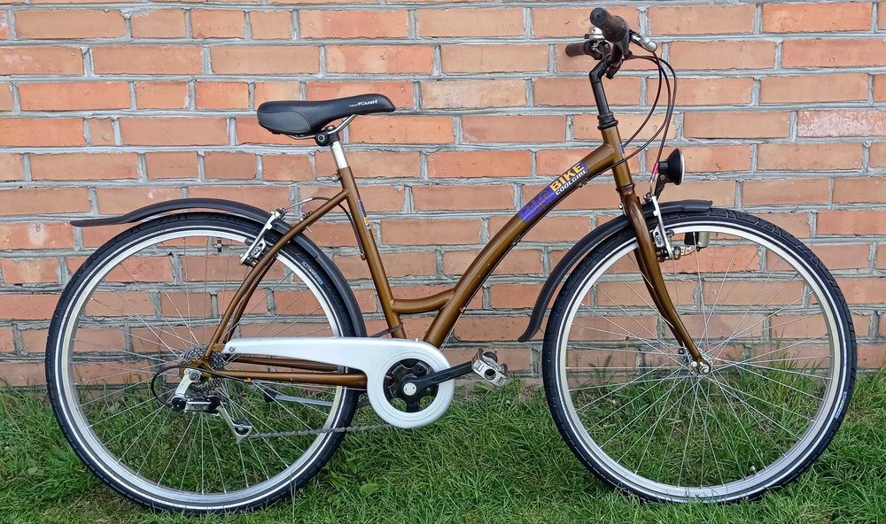 Rower młodzieżowy holenderski - jak Alpina