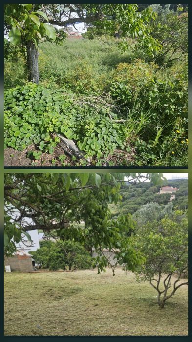Limpeza de terreno e jardim