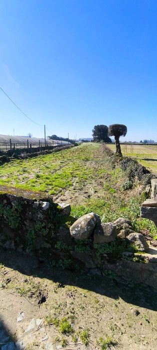 Terreno à venda em Terroso – 2.060 m² com grande potencial!