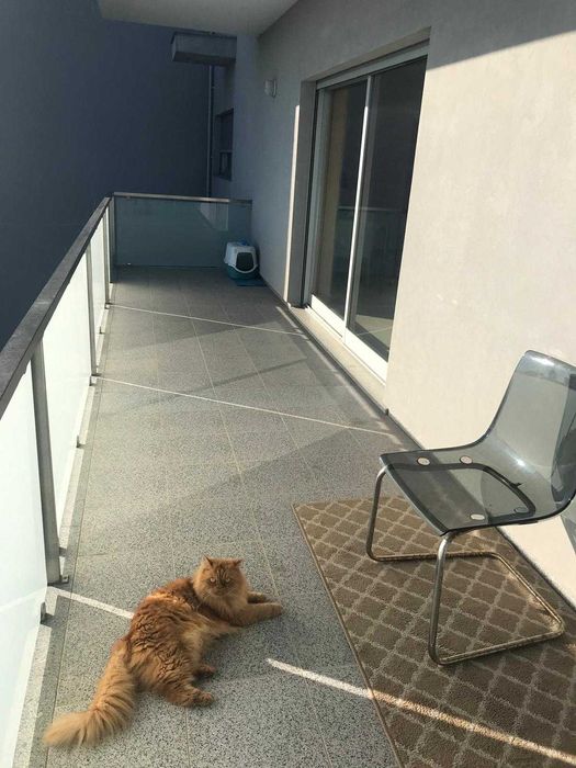 Apartamento T3 vila Prado