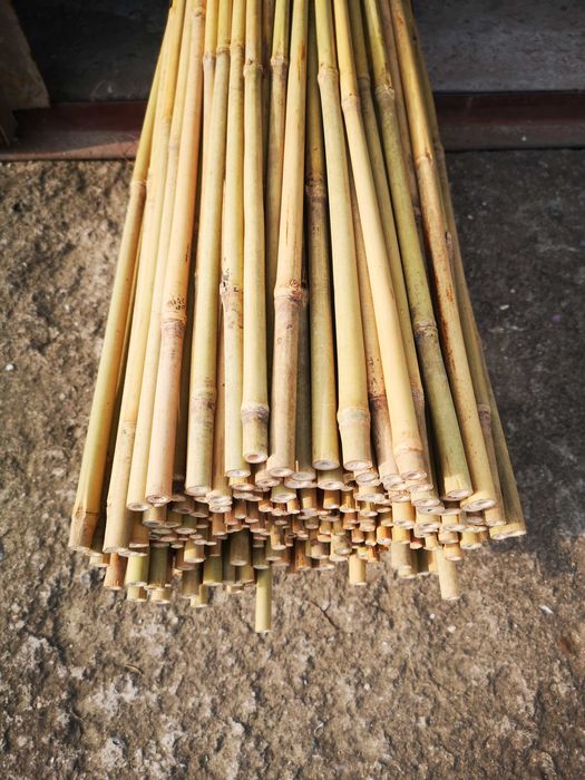 ⋙ Бамбукові опори, стовбури, для підв'язки рослин, помідор (є ОПТ)