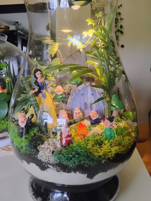 Las w szkle na prezent