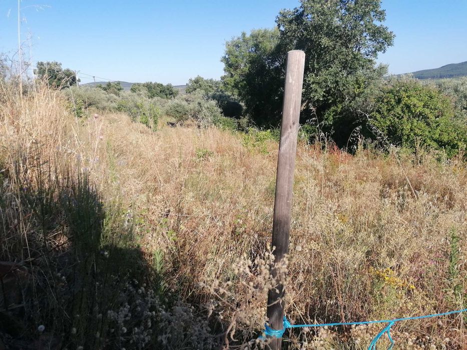 Aluguer de terreno agrícola com 300m2