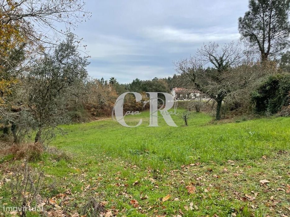 Terreno com ruínas — Poiares (Santo André), Coimbra