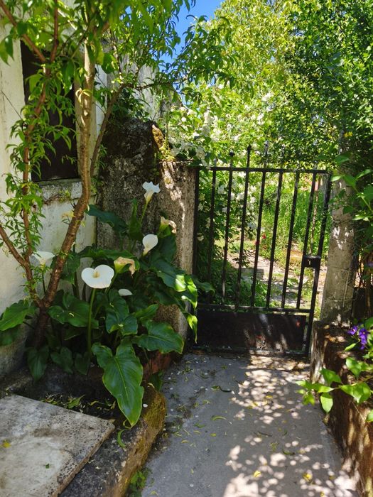 Casa Tomar, freguesia Alviobeira,Ceras