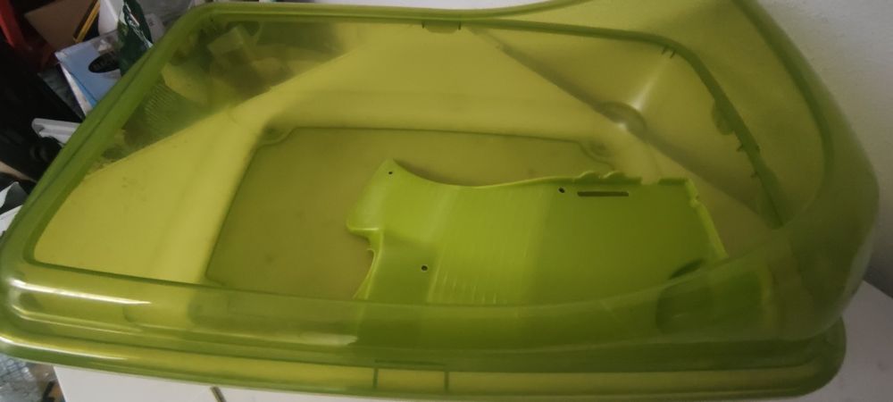 Tartarugueira verde