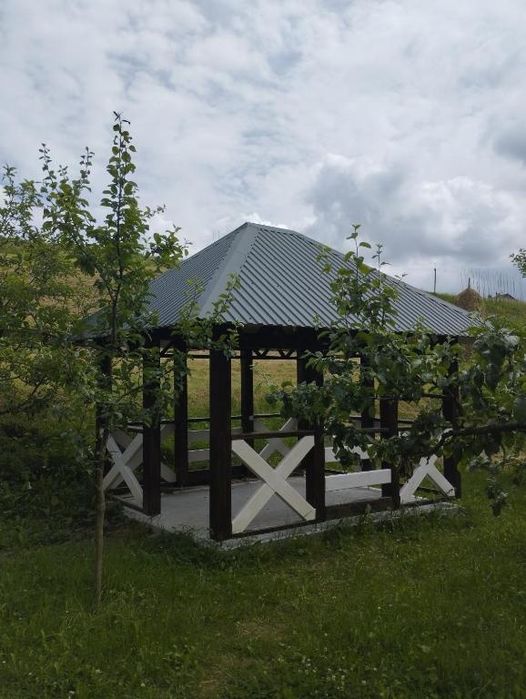 Відпочинок в Карпатах