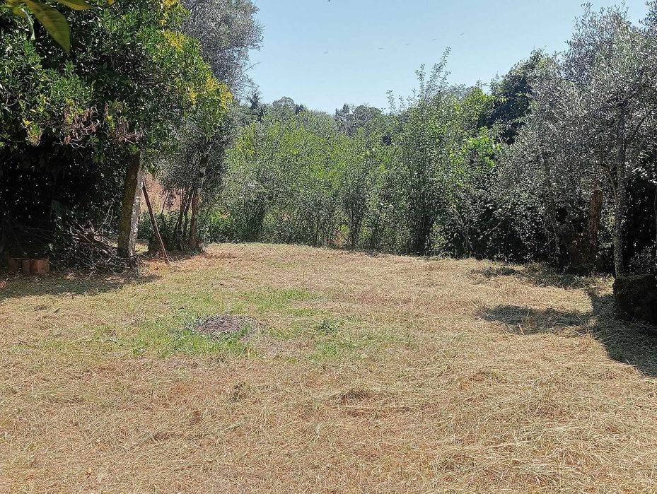 Limpeza de Terrenos – Evite Multas