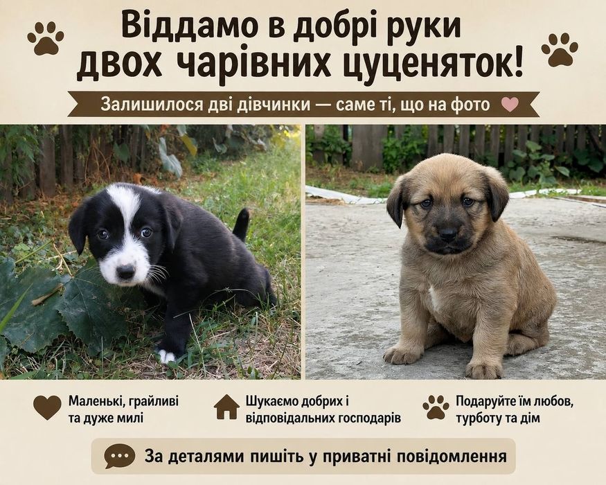 Маленьки і гарні друзі