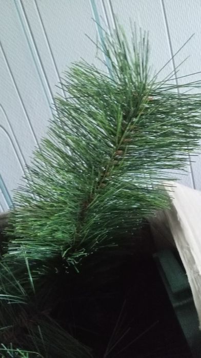 Штучна ялинка 2.5м