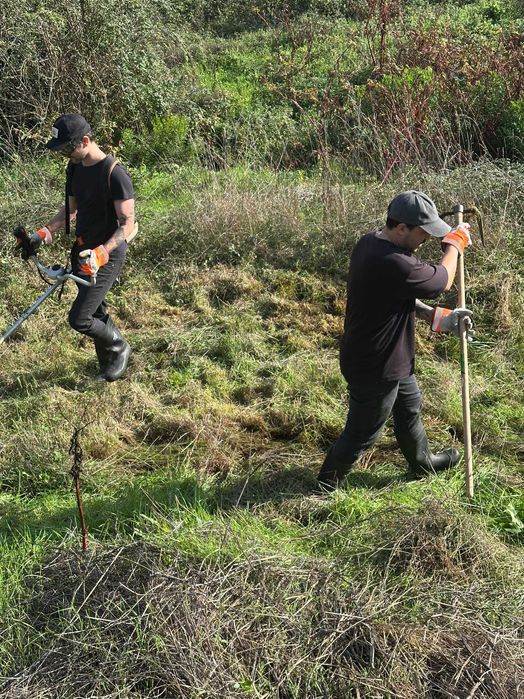 Manutenção de Jardim e Corte de Relva — Porto e Arredores — Orçamento Grátis