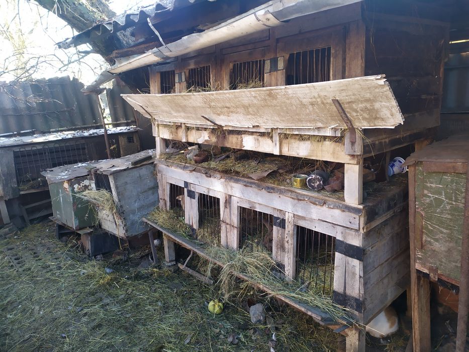 Продам клітки для кроликів