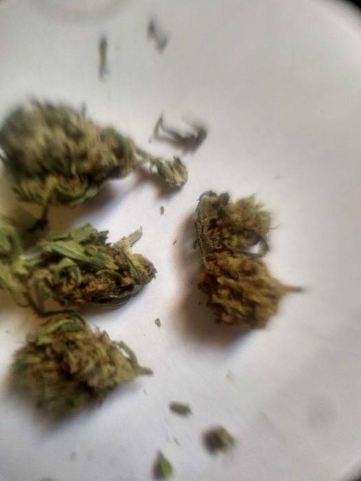Susz AK 48 Cbd / Thceee 19%