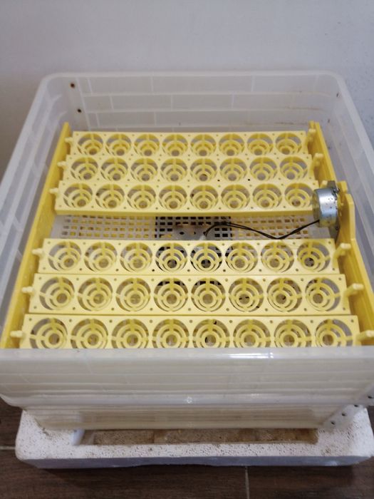 Домашній інкубатор для яєць