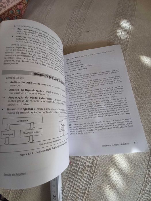 Gestão de Projetos Técnicas e Práticas com Ênfase em Web