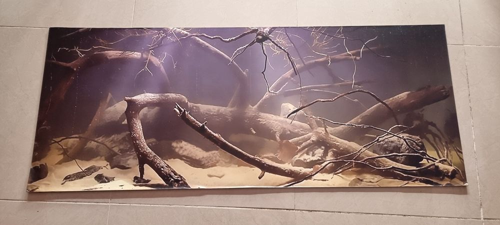 Fundo 3D para aquários