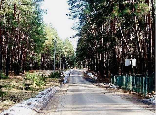 Елітна земельна ділянка в Соснівці на березі річки!