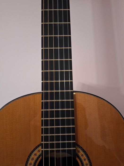 Gitara admira artista - Kraków/Katowice i okolicy