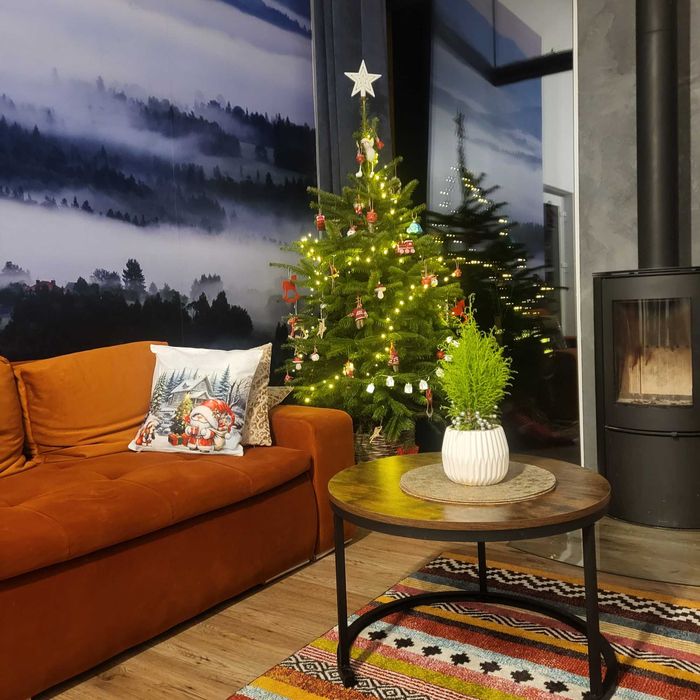 Bieszczadzkie Korzenie Rodu/ Bieszczady dom do wynajęcia