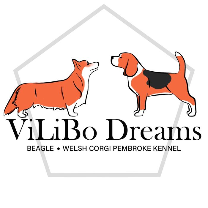 Професійний Розплілник VILIBODREAMS