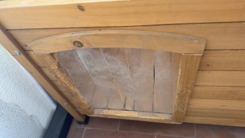 Casota para cão