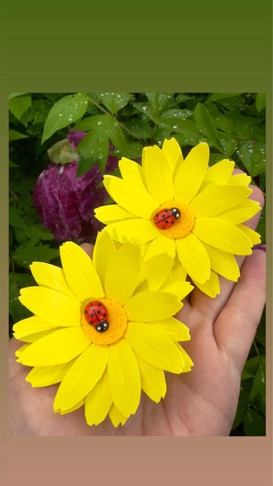 Квіти. Ромашки. Зажими ромашка.