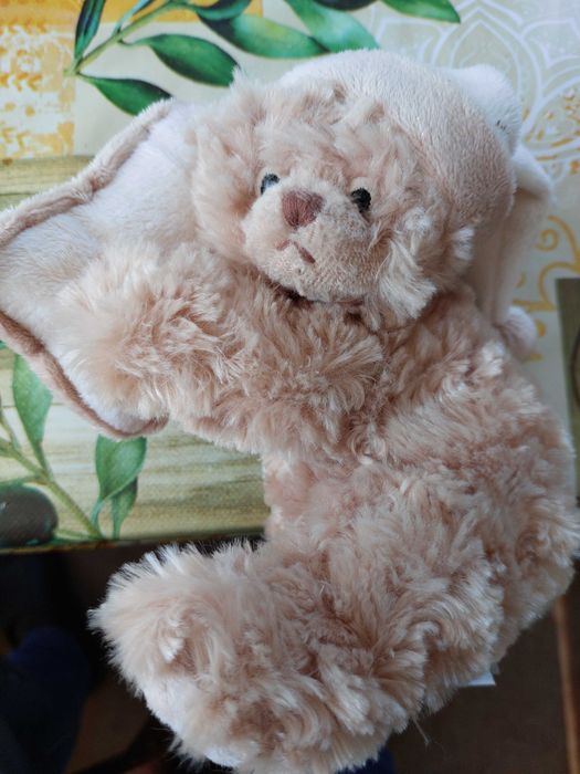 miś kolekcjonerski Bukowski Szwecja