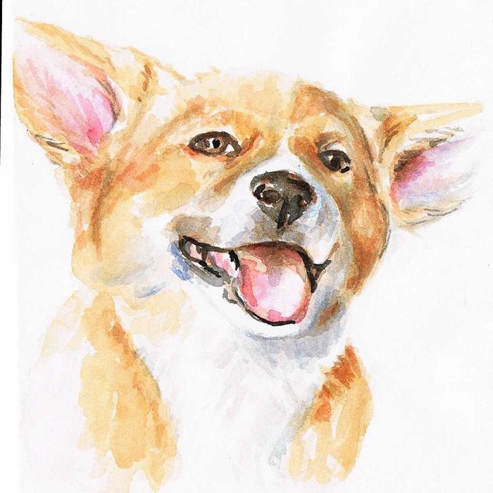 Retrato de cão personalizado