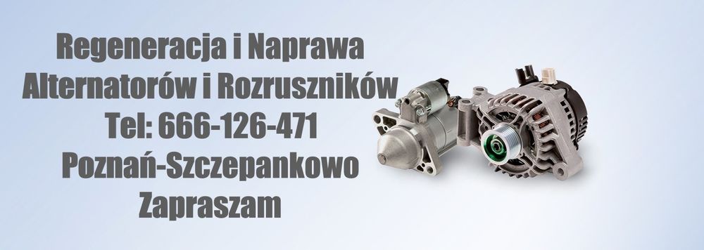 Regeneracja Naprawa Alternator Rozrusznik