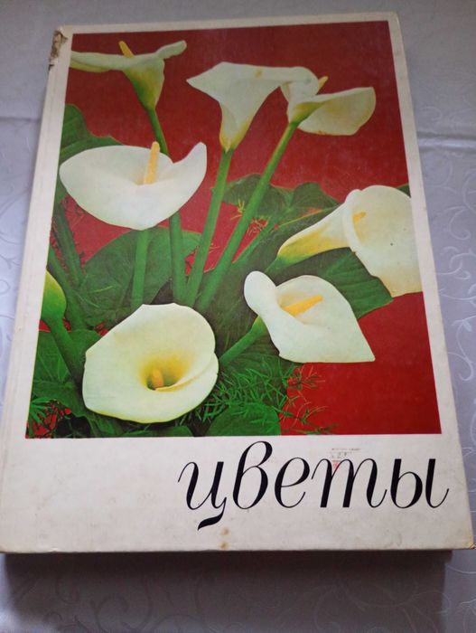 Альбом Цветы . Комнатные растения и декоративноцветущие кустарники