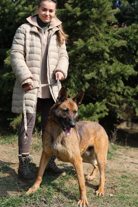 Do świadomej adopcji