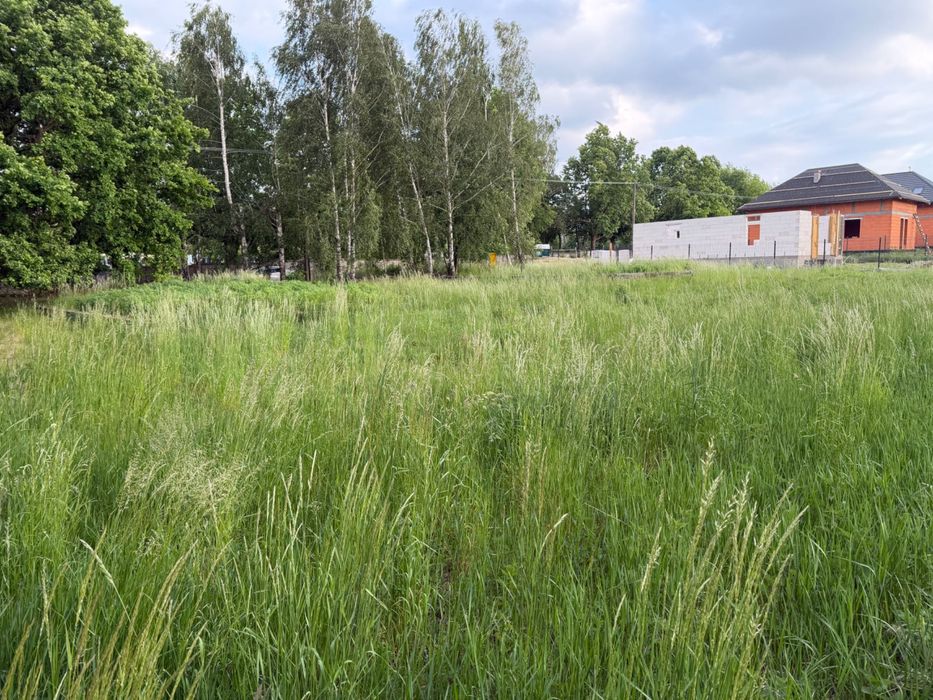Działka Budowlana Paprotnia - Widok 2