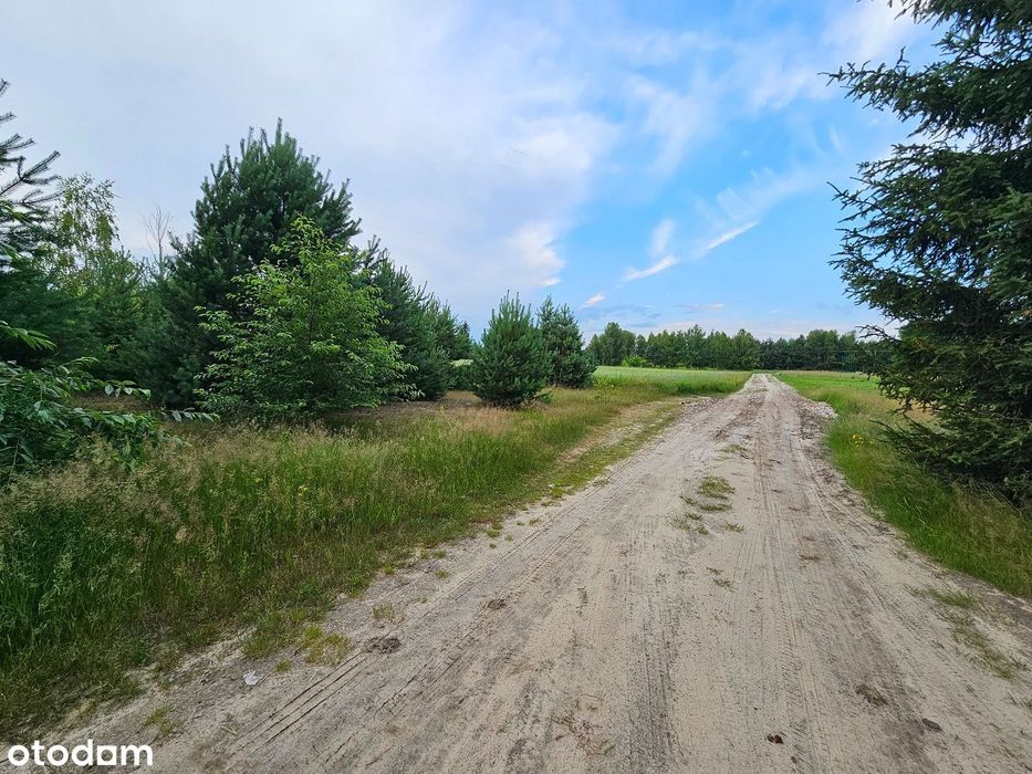 Działka budowlana nad jeziorem BIAŁKA. Parczew - View 2