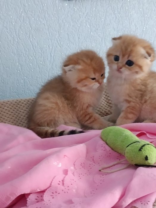 Маленькі антистресики