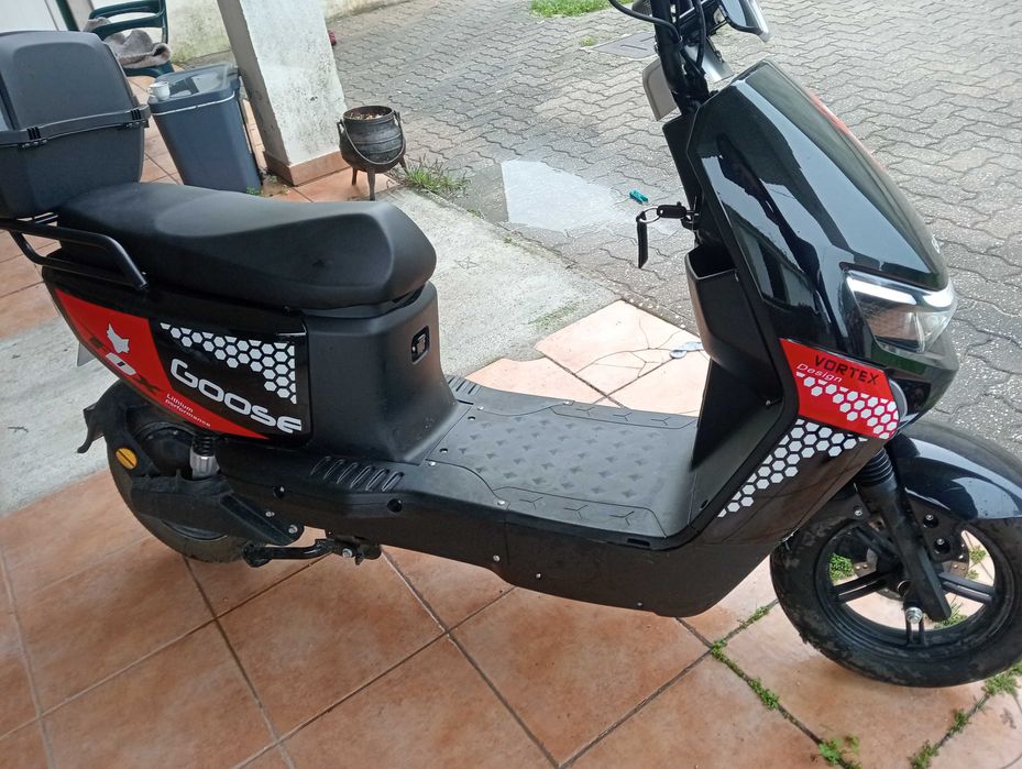 Scoter elétrica goose fox perfomance