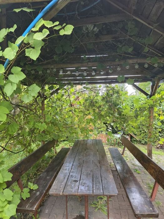 Ogródek działkowy działka  Rod Promień Ruda Śląska Orzegów cena do negocjacji - Widok 5