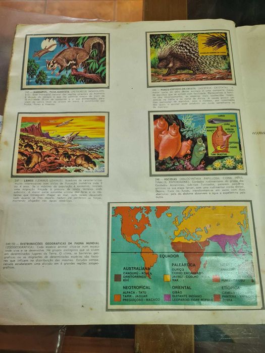 Caderneta completa de 250 cromos PANORAMA ZOOLOGICO