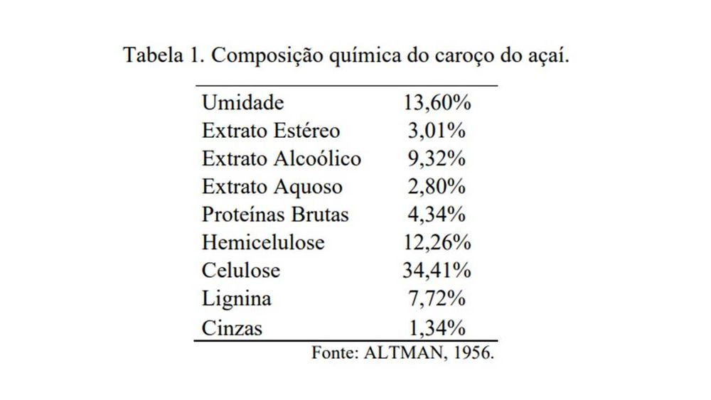 Caroços de Açai  para combustão. BIOMASSA