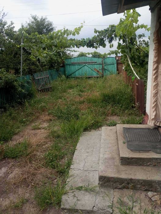 Продам затишний Будинок в центрі села ціна договірна