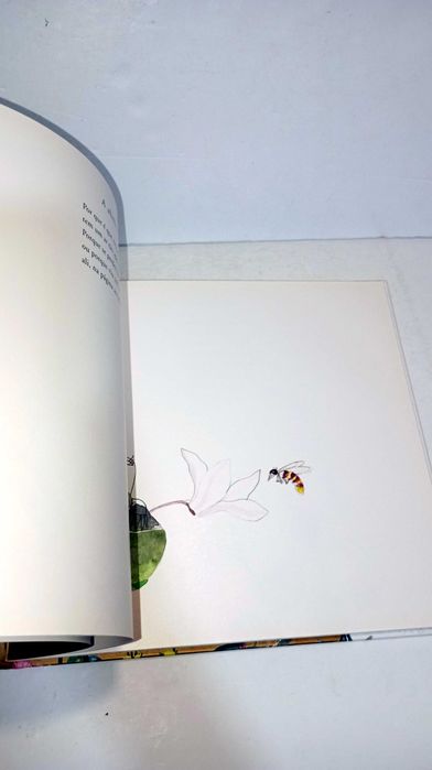 Herbário - Jorge Sousa Braga