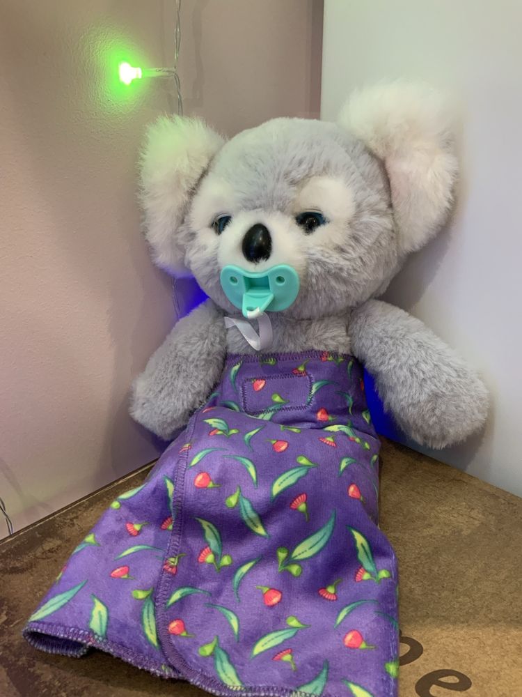 Cozy 2024 dozy bear