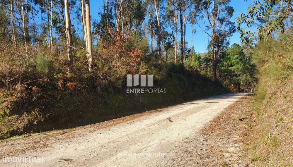 Land for Sale, Várzea de Ovelha e Aliviada, Marco de Canaveses